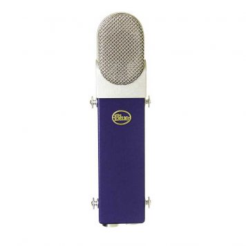 Blue Blueberry Microphone