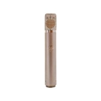 Flea-12-Microphone